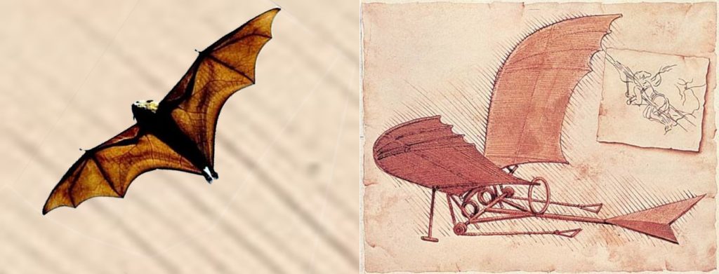 Cavit ve Leonardo da Vinci